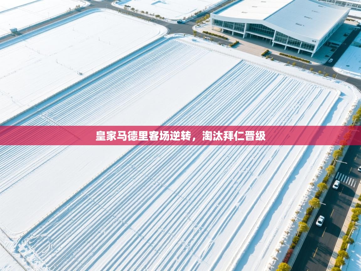 皇家马德里客场逆转，淘汰拜仁晋级  第2张