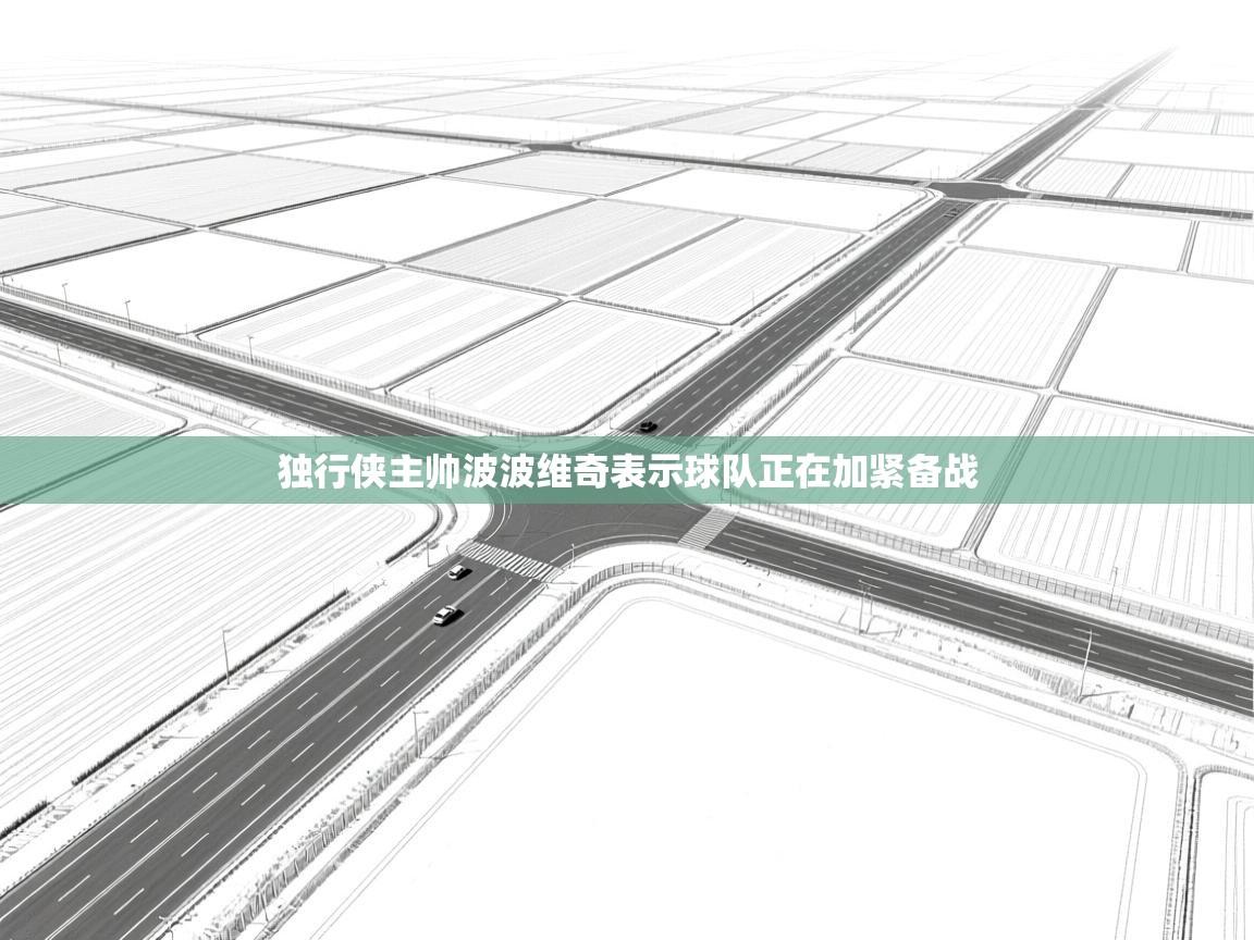 独行侠主帅波波维奇表示球队正在加紧备战 第2张